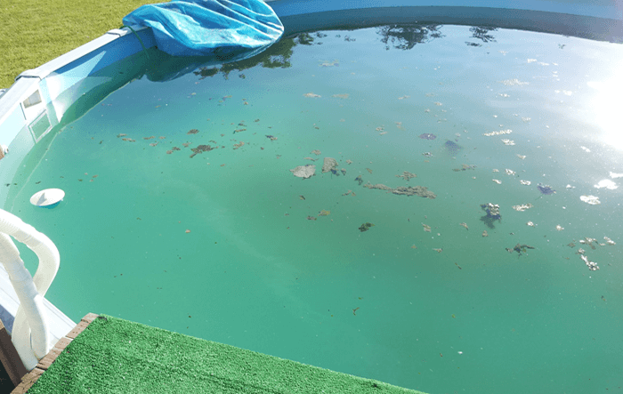how to clean a green above ground pool