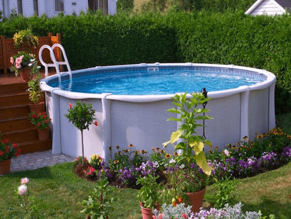 Above Ground Pool Tall Growing Plants