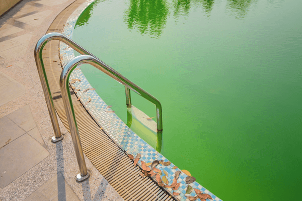 How Much Algaecide To Put In Pool When Opening