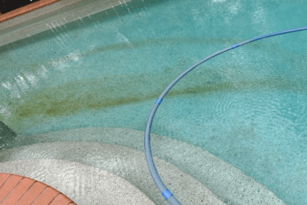 Brown Stains in Salt Water Pool